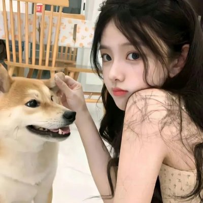 追梦小海豚